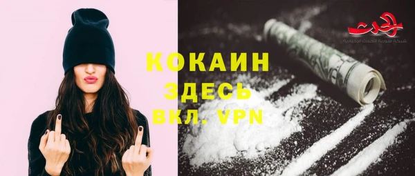 тгк Горняк