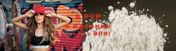 прущие грибы Горнозаводск