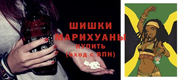прущие грибы Горнозаводск