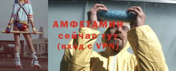 прущие грибы Горнозаводск