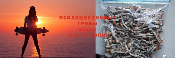 прущие грибы Горнозаводск