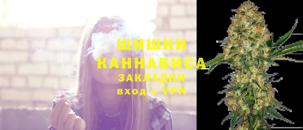 дмт Горно-Алтайск
