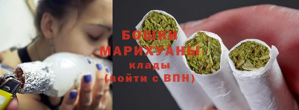 прущие грибы Горнозаводск