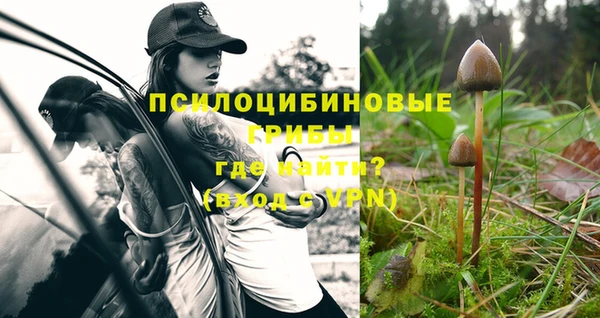тгк Горняк