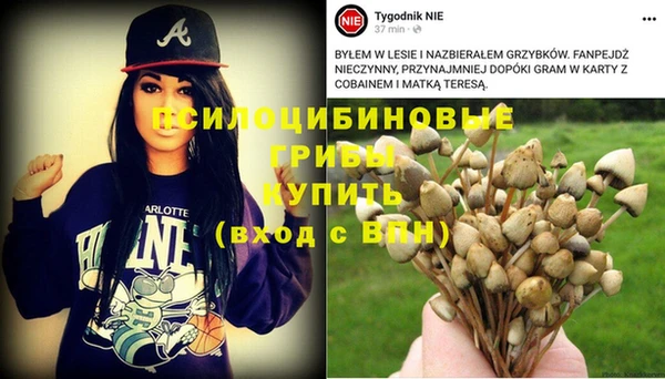 дмт Горно-Алтайск