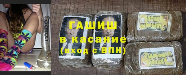 прущие грибы Горнозаводск
