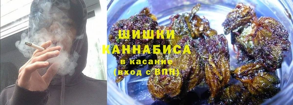 дмт Горно-Алтайск