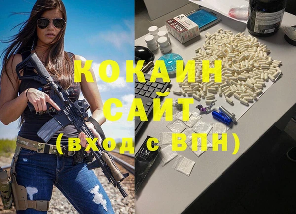 прущие грибы Горнозаводск