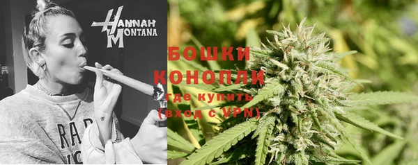 дмт Горно-Алтайск