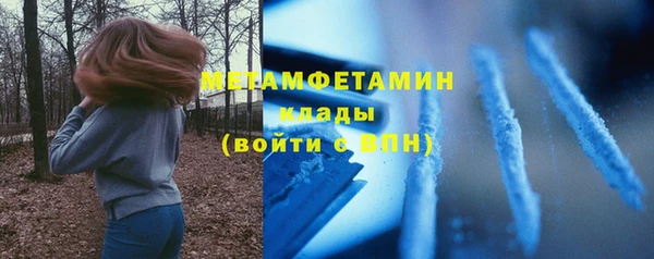 прущие грибы Горнозаводск