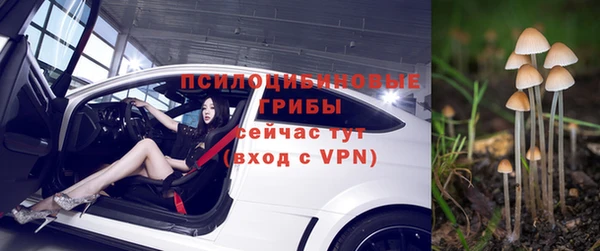 тгк Горняк